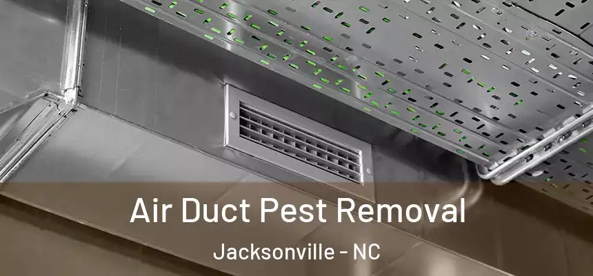 Air Duct Pest Removal Jacksonville - NC