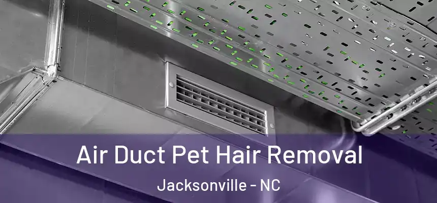 Air Duct Pet Hair Removal Jacksonville - NC