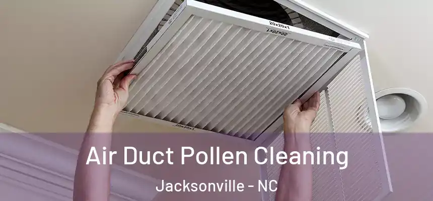 Air Duct Pollen Cleaning Jacksonville - NC