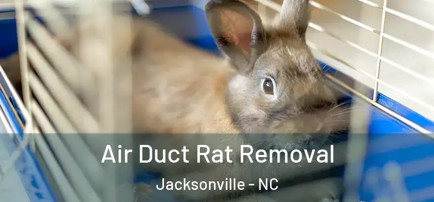Air Duct Rat Removal Jacksonville - NC