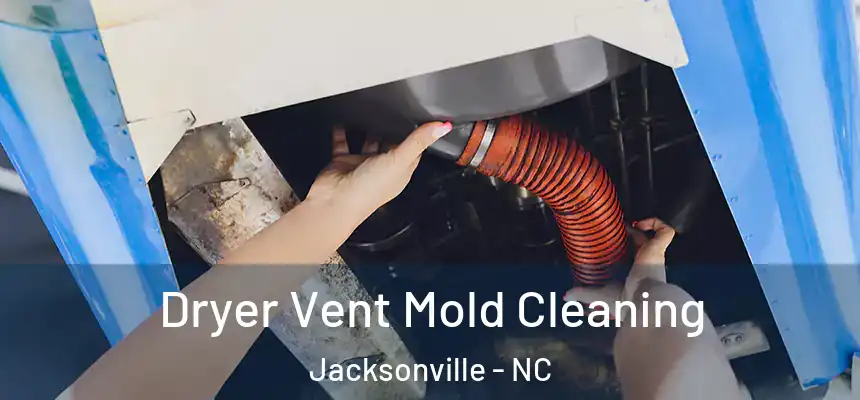Dryer Vent Mold Cleaning Jacksonville - NC