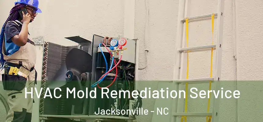 HVAC Mold Remediation Service Jacksonville - NC