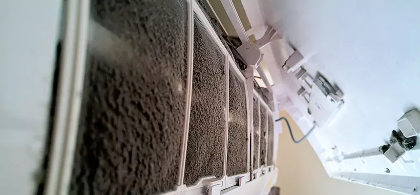 Preventive Air Duct Bacteria Removal in Jacksonville