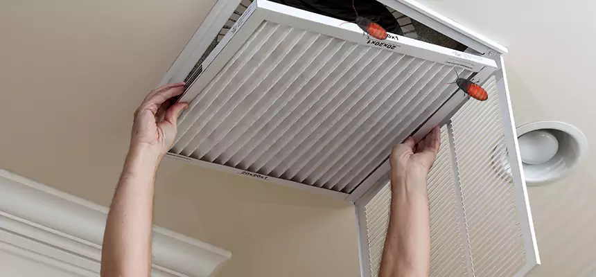 Our Insect Removal from Air Ducts Services in Jacksonville, NC