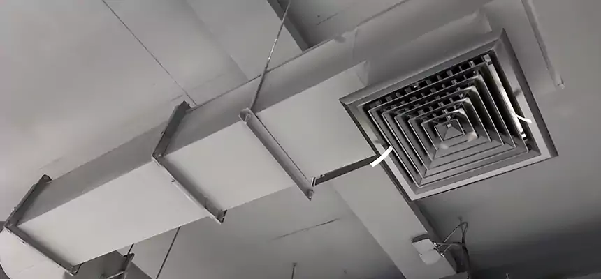 Our Pest Removal From Ducts Services in Jacksonville, NC