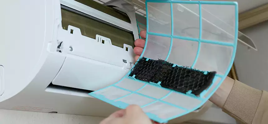 Gentle Ductwork Odor-Control Pet Dander Duct Cleaning in Jacksonville, NC