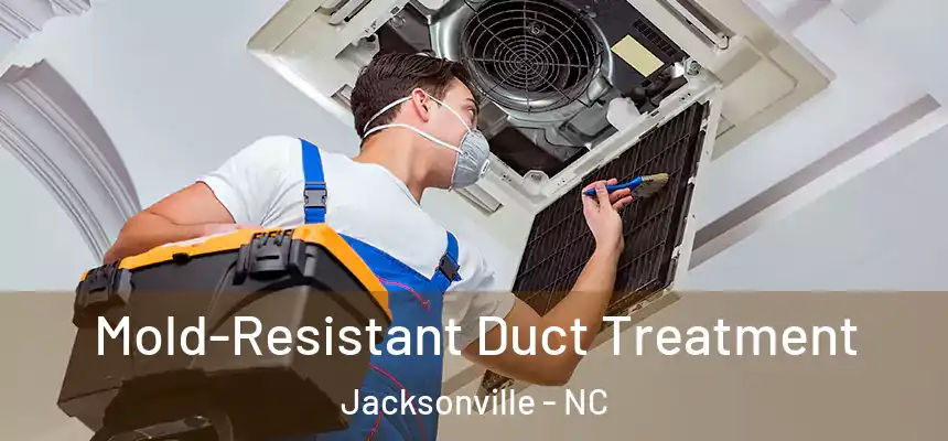 Mold-Resistant Duct Treatment Jacksonville - NC