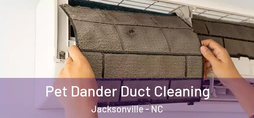 Pet Dander Duct Cleaning Jacksonville - NC