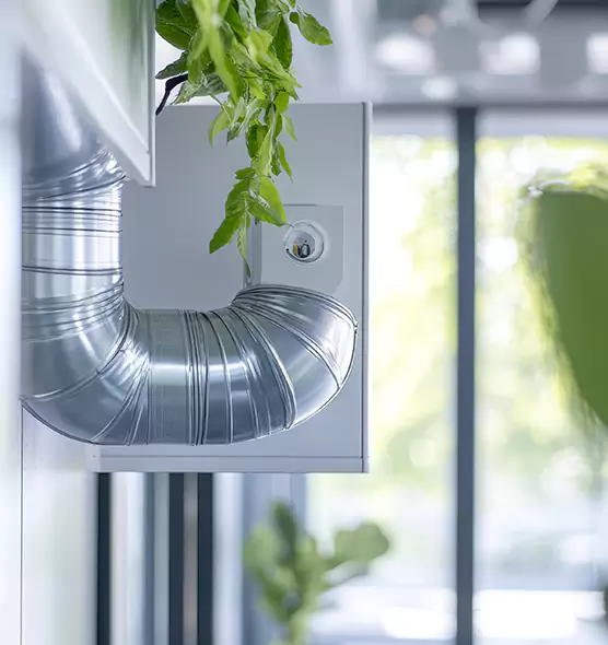 Professional Eco-Safe Dryer Vent Cleaning in Jacksonville, NC