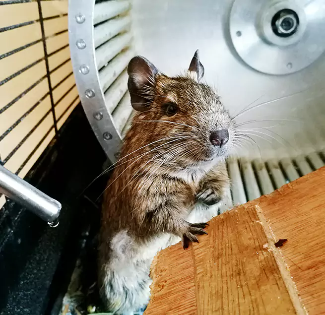 Why Homeowners & Businesses Trust Us Jacksonville, NC