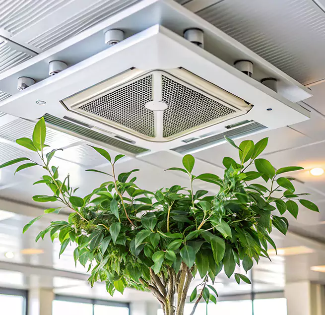 Why Homeowners & Businesses Trust Us in Jacksonville, NC