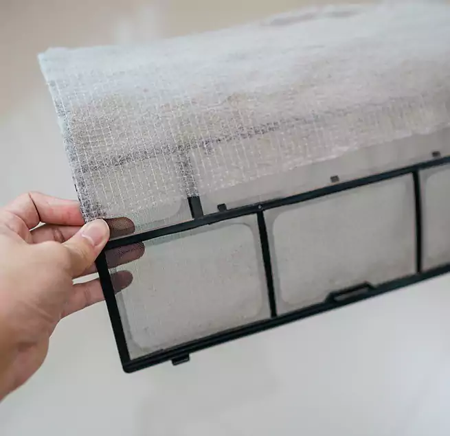 Why Homeowners & Businesses Trust Us in Jacksonville, NC?