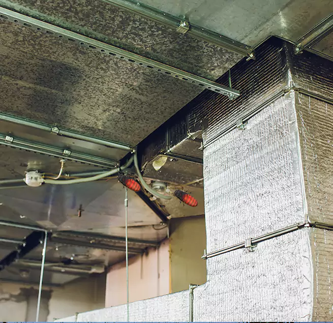 Why Homeowners & Businesses Trust Us Jacksonville, NC?